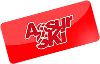 Logo Assurski